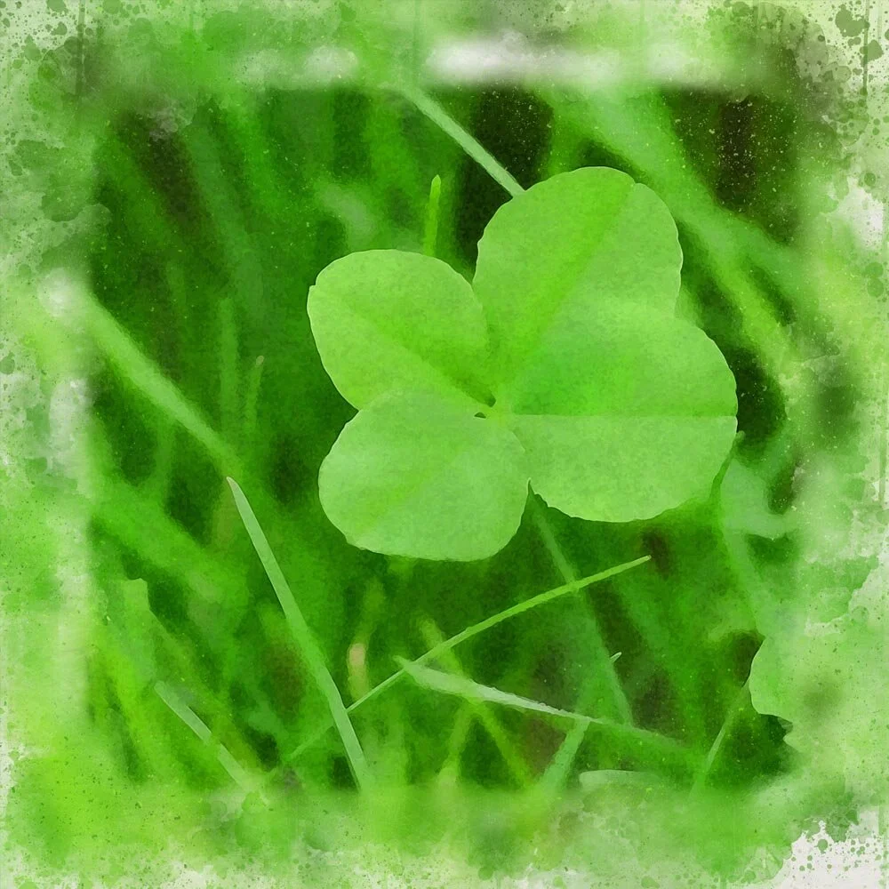 four leaf clover good luck charm abstract figurative  print