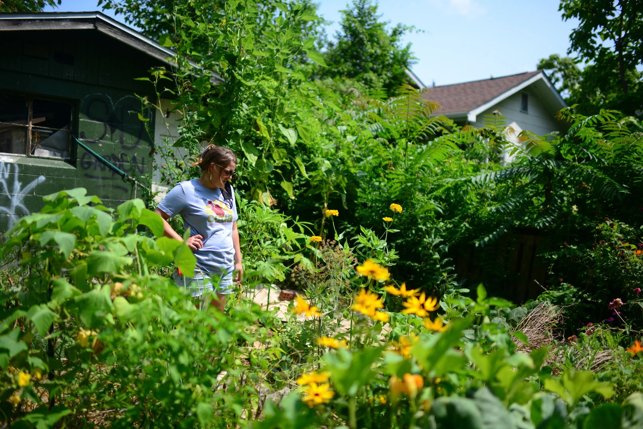  Brown surveys her garden Aug. 9, 2021 in Columbia, Missouri. Brown’s passion for teaching others how to grow food comes from her own gardening practice.  