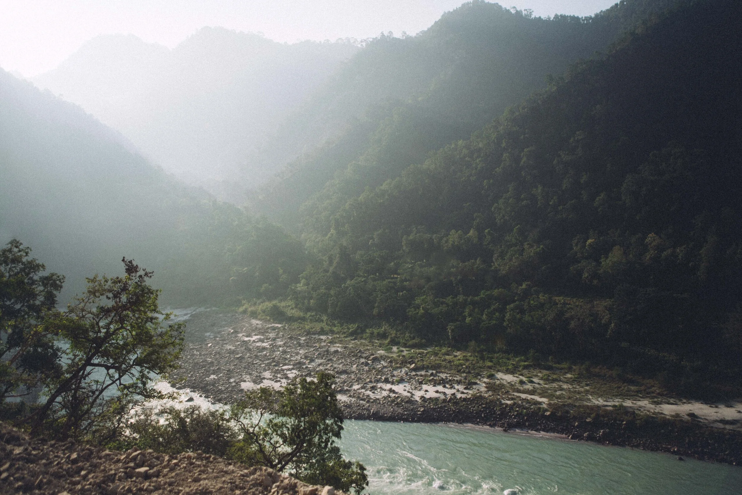 himalaya intertwined 