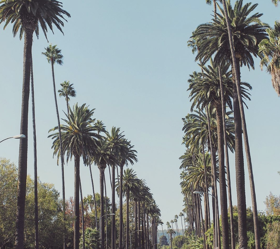 Screen Shot 2019-10-02 at 8.29.35 PM.png