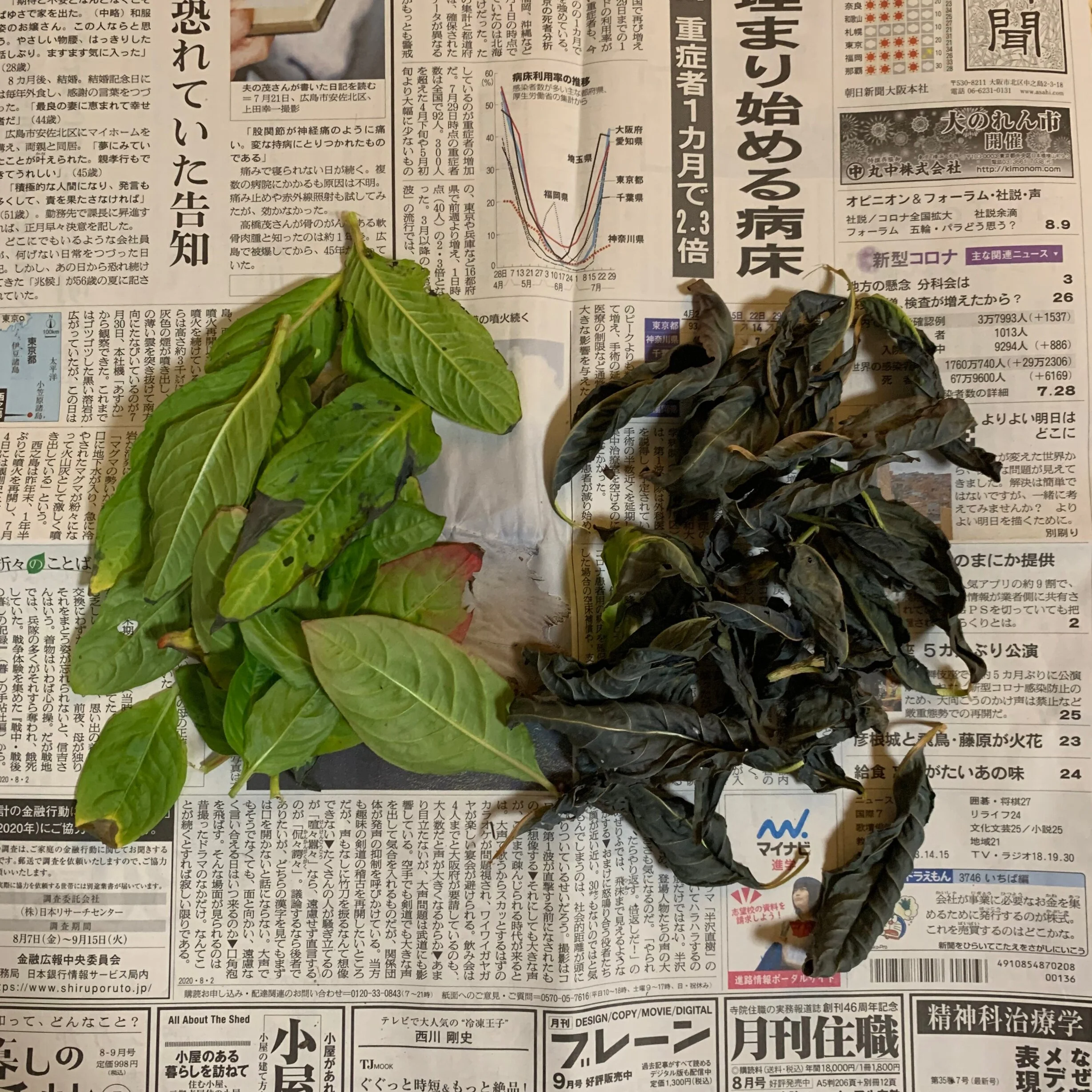 8月2日