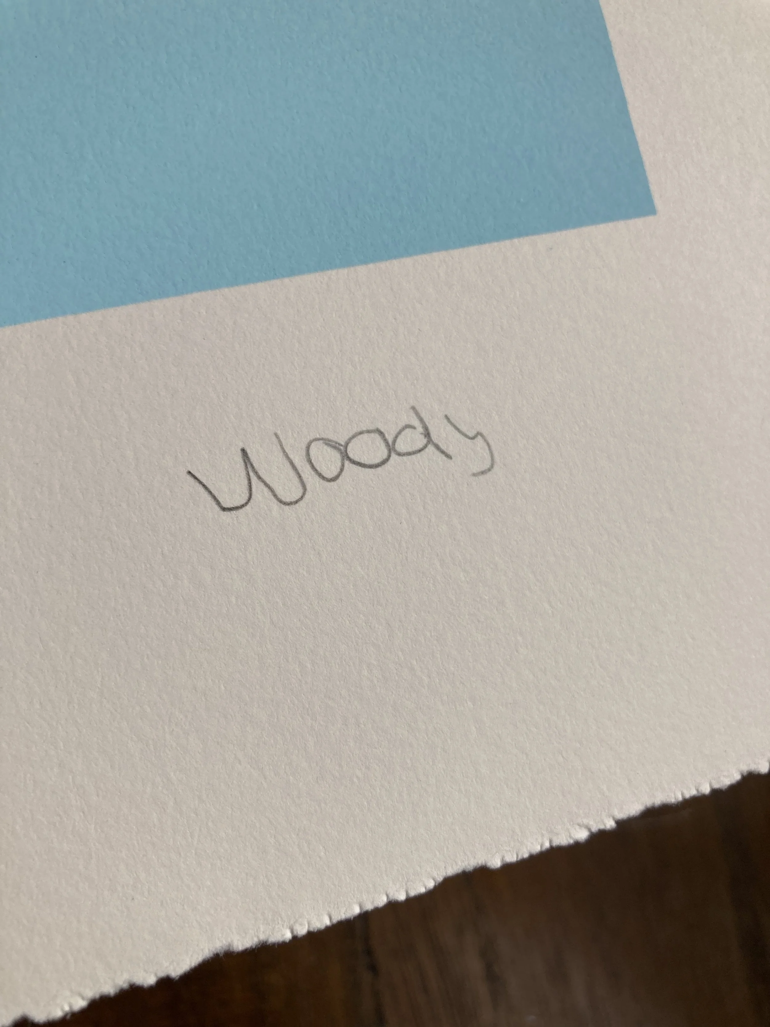 PALE BLUE_SIGNATURE.jpg