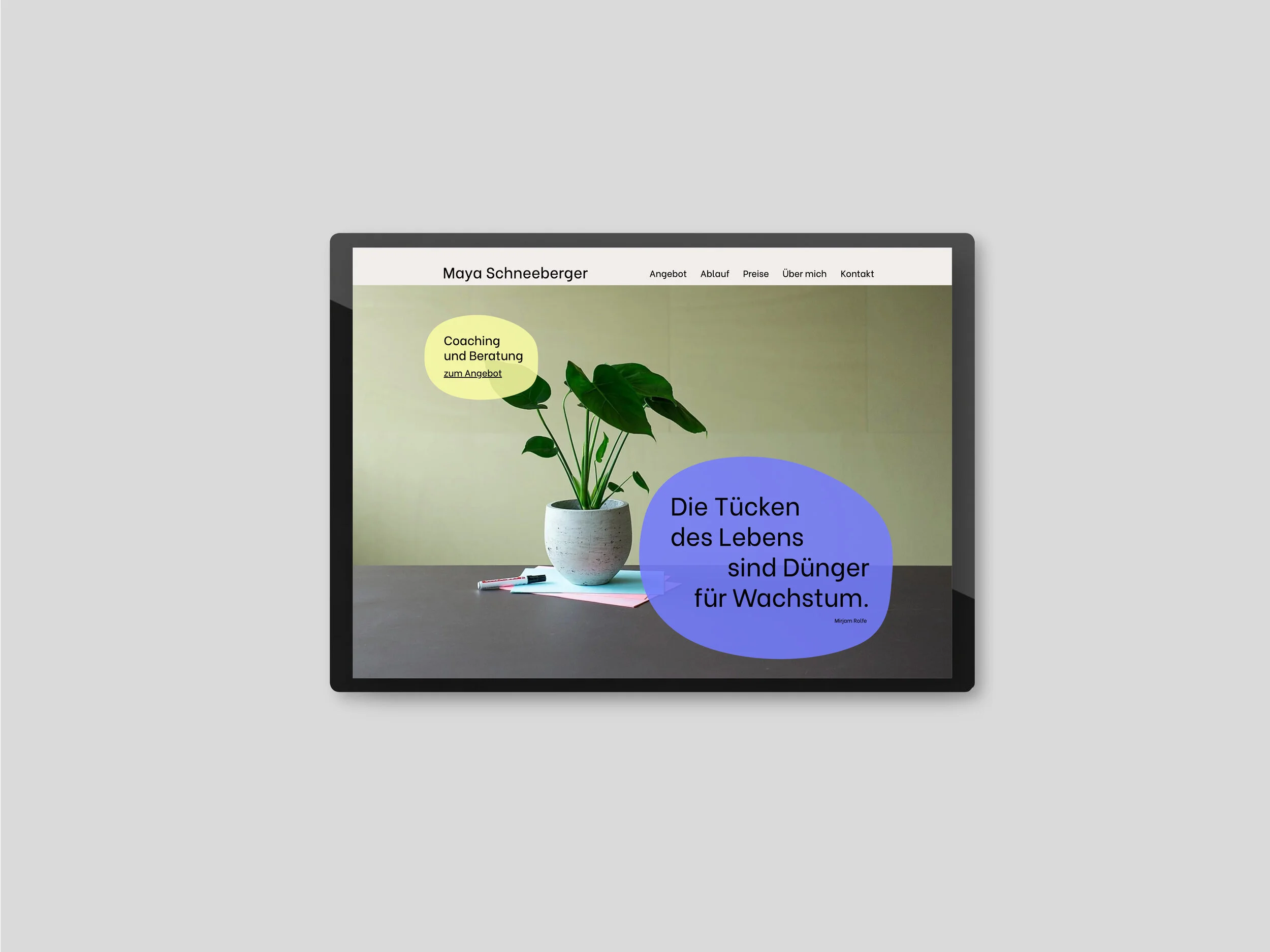 schneeberger_web_portfolio4.jpg