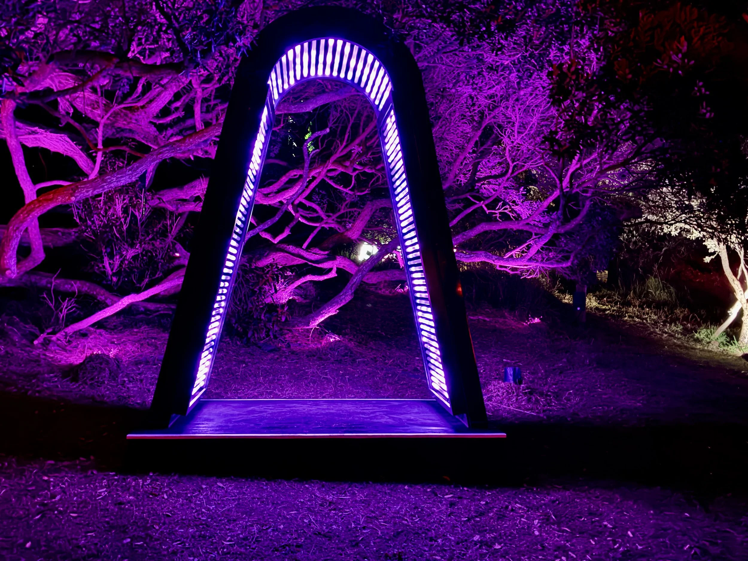  Trace Element sculpture at Splore Festival 