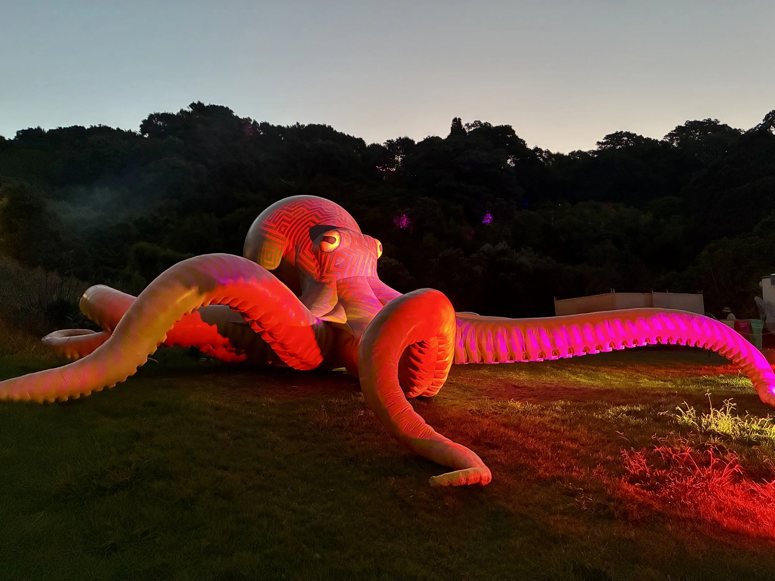  Lisa Reihana sculpture at Splore Festival  