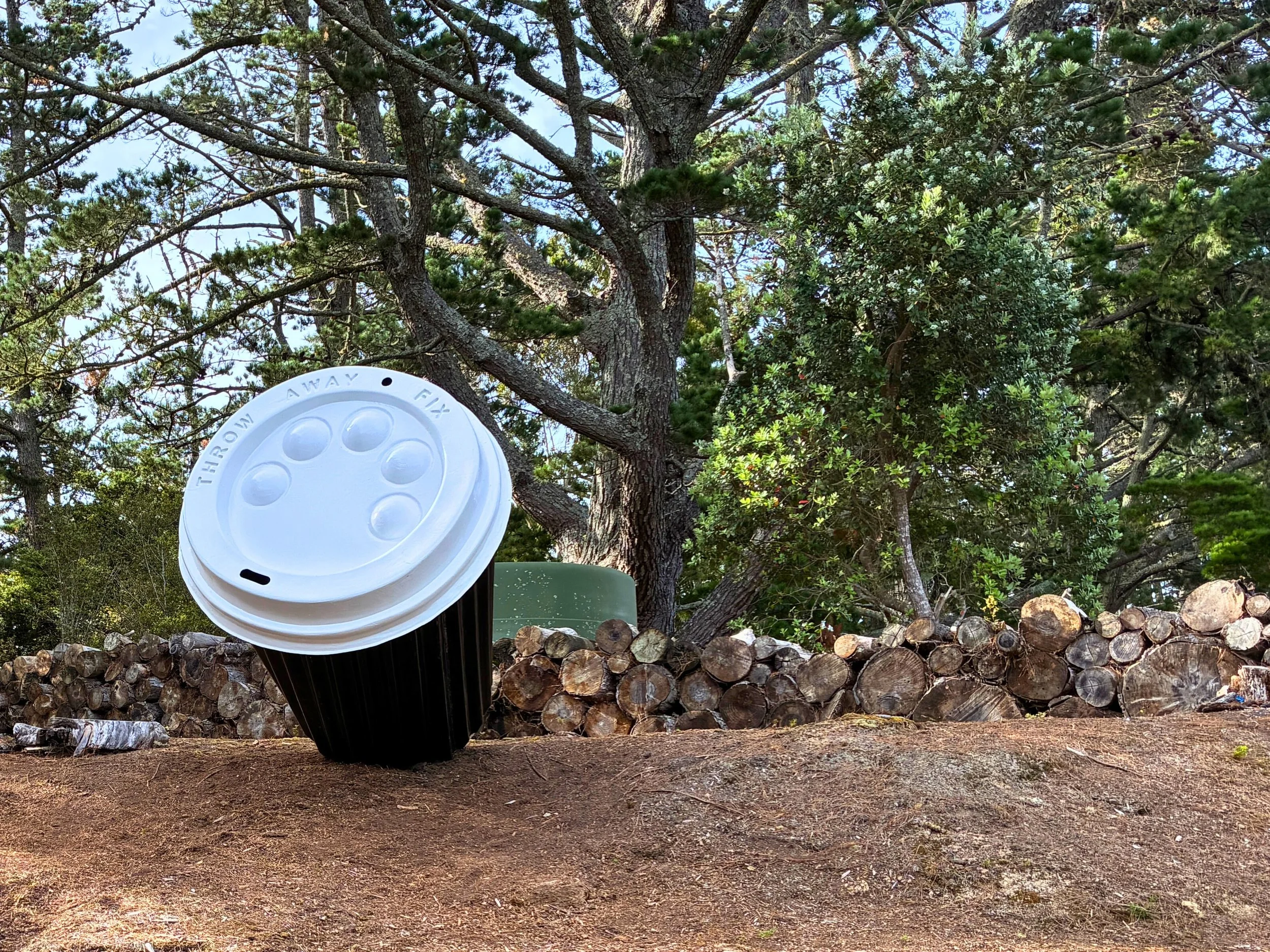  Brett Oakes sculpture at Kaipara Coast Sculpture Gardens&nbsp; 
