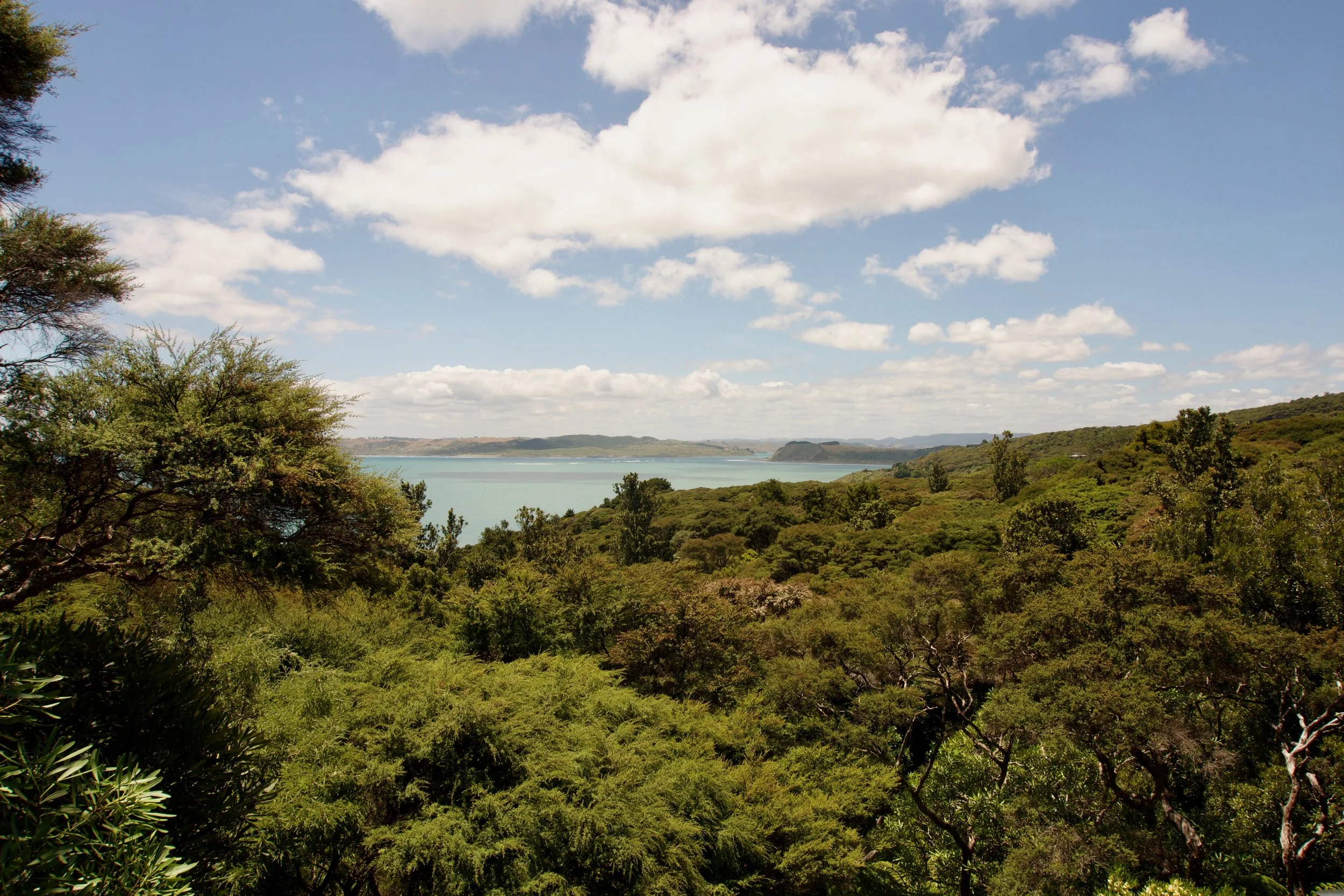 Aotearoa Green Guide
