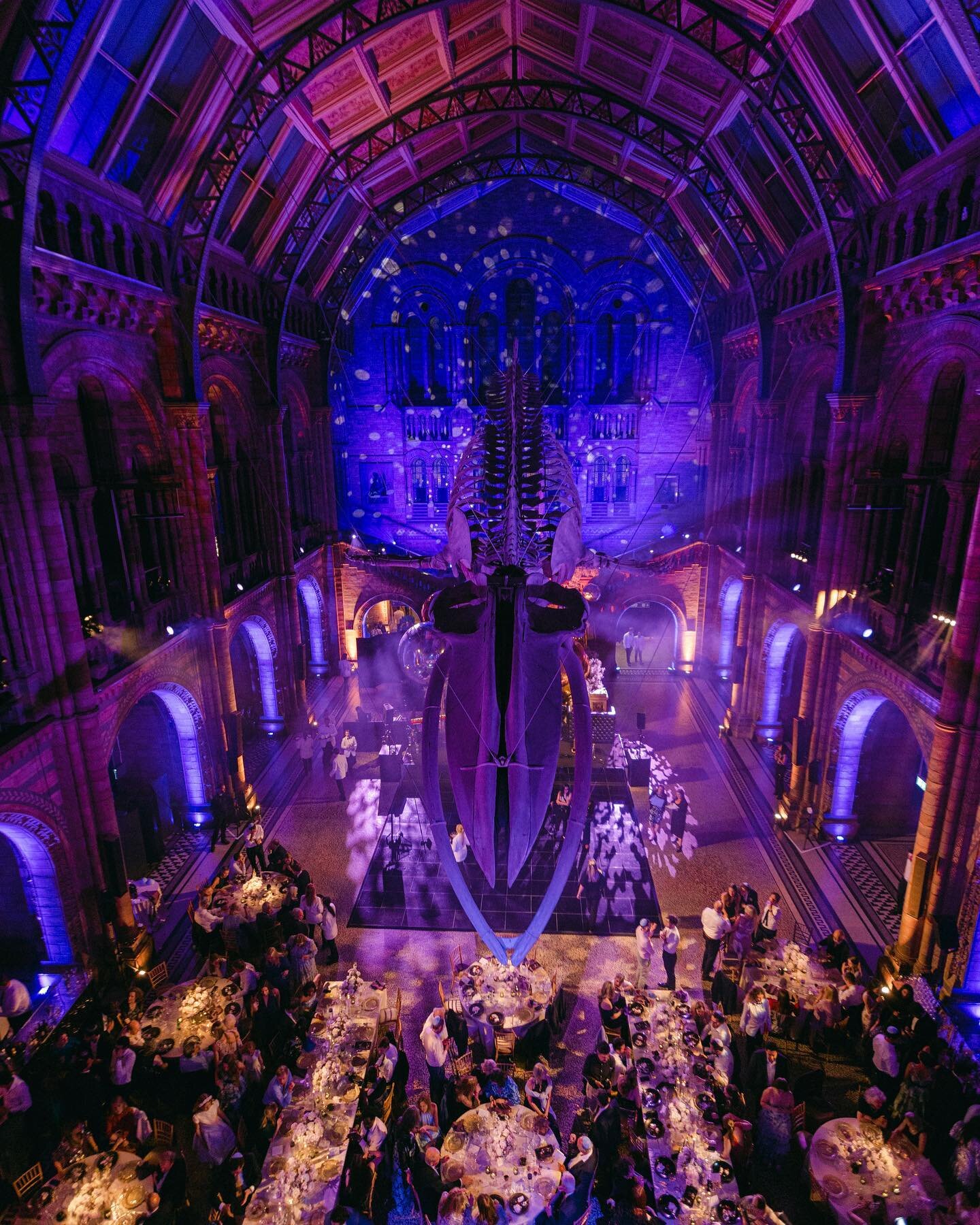 NATURAL HISTORY MUSEUM // An energetic, fun, immersive wedding celebration for nearly 400 guests at the @nhm_venuehire 

Creating a journey and experience for the guests through Fossil Way to Hintze Hall for a magical transformation that was &ldquo;O