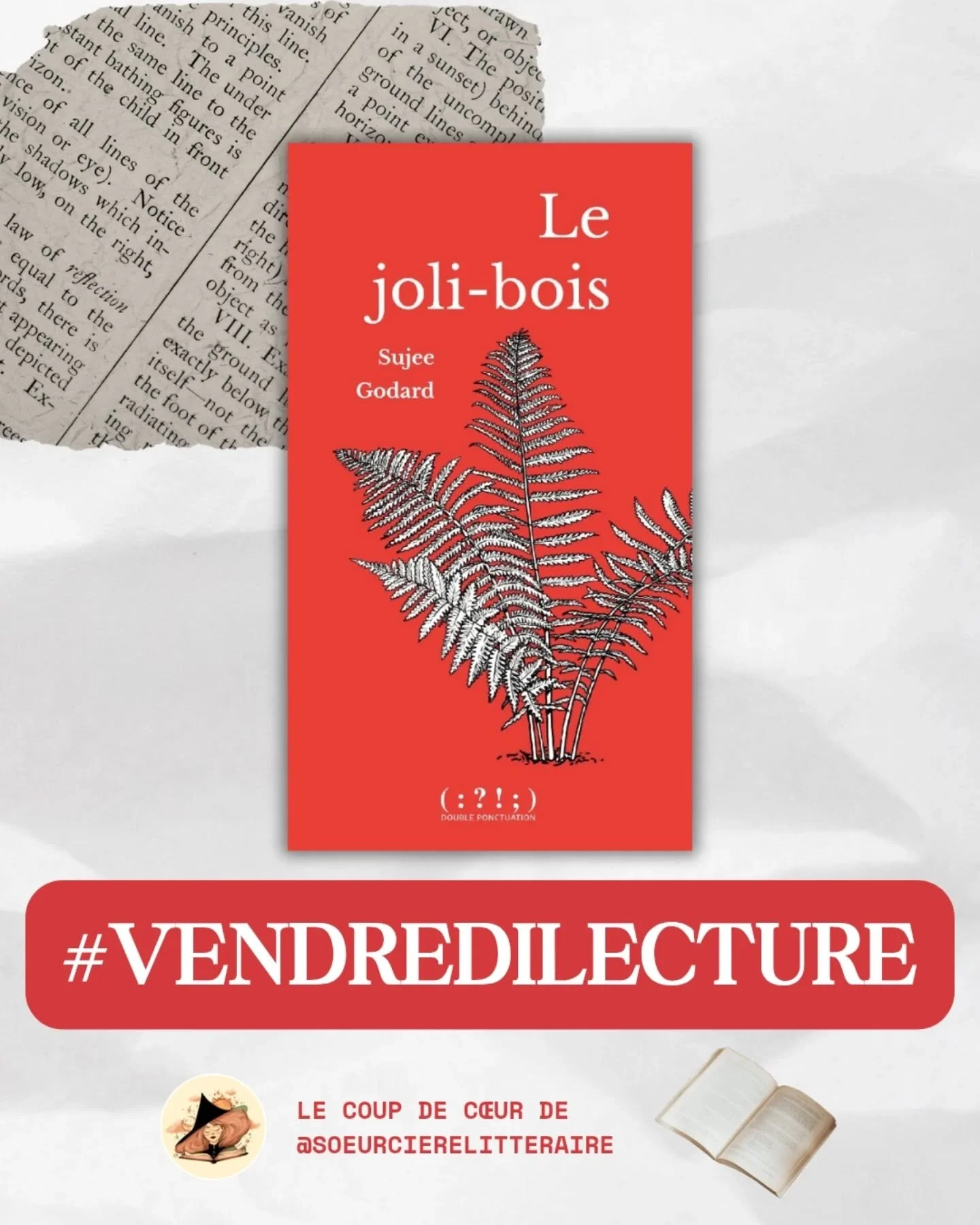 Nous continuons notre rendez-vous #vendredilecture avec @soeurcierelitteraire qui partage ses coups de c&oelig;ur avec nous. D&eacute;couvrez sa proposition de la semaine : &laquo; Le joli-bois &raquo; de Sujee Godard. 

𝗟𝗲 𝗷𝗼𝗹𝗶-𝗯𝗼𝗶𝘀, 𝗦𝘂?