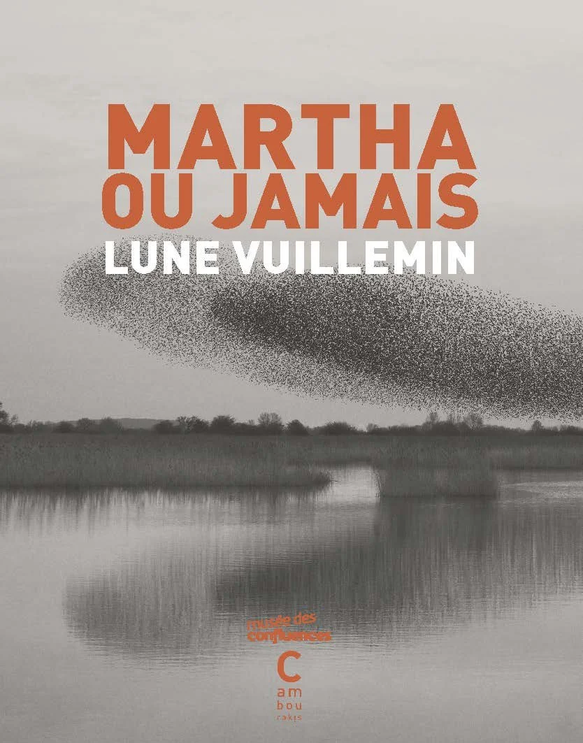 Couv_Lune VUILLEMINMartha ou jamais_COUV_Plat1.jpg