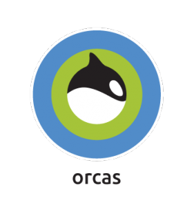 Orcas-Egypt-31448-1567617571.png