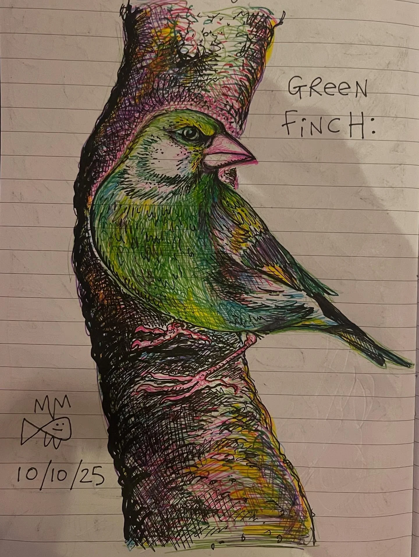 A drawing of a goldfinch that I definitely preferred before blacking out the background 🤷&zwj;♂️ but that don&rsquo;t matter&hellip; the point of a sketchbook is to try stuff out, take risks, experiment, and see what happens ✍️ which you can&rsquo;t