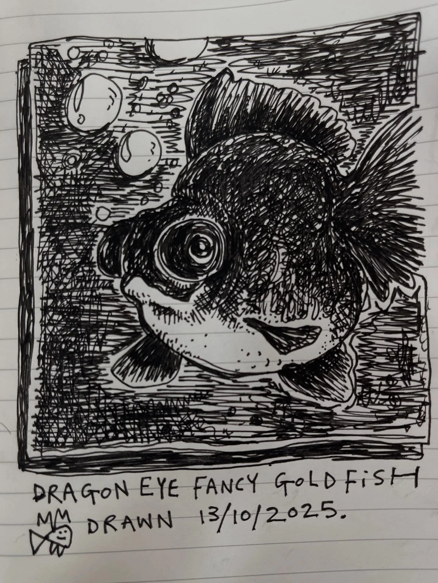 Dragon eye fancy goldfish. Fine liner