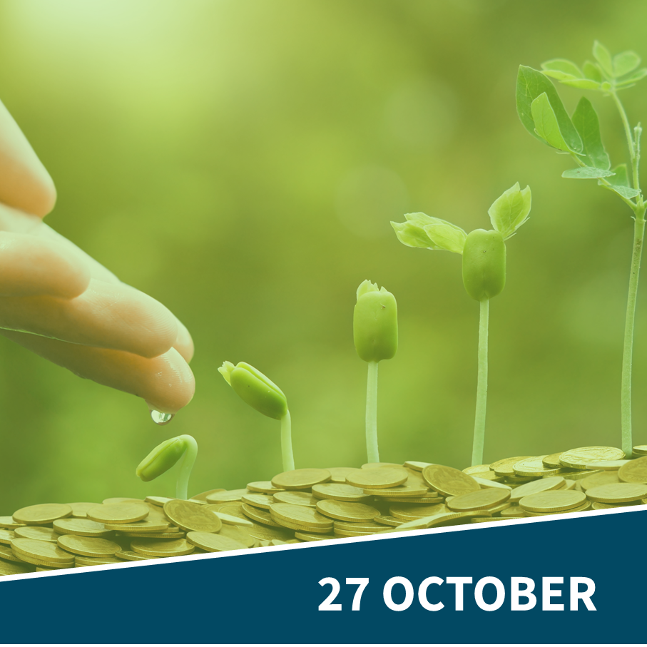 Sustainable Finance for Business Transformation