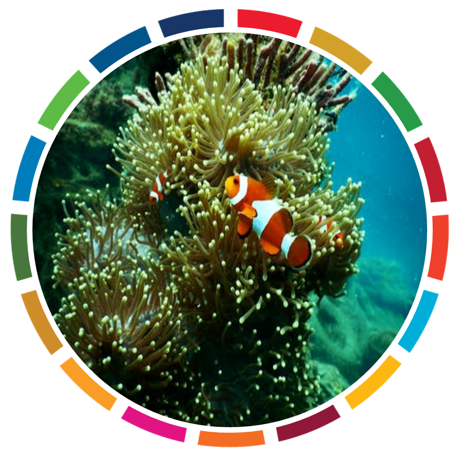 MAINSTREAMING BIODIVERSITY IN CORPORATE SUSTAINABILITY