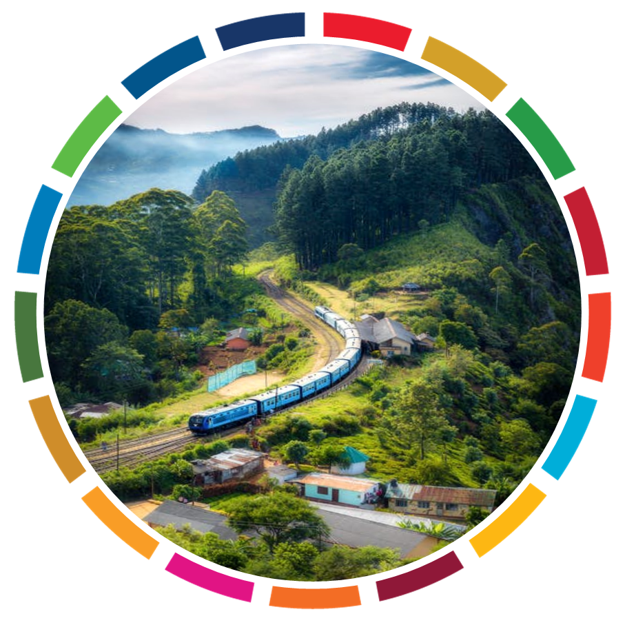 ACCESS TO SERVICES IN RURAL AREAS: MOBILITY AND DIGITAL ACCESS