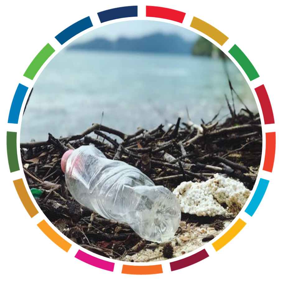 RESPONSIBLE MANAGEMENT OF SINGLE USE PLASTICS IN COASTAL AREAS