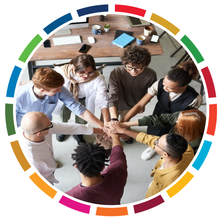 DIVERSITY MANAGEMENT IN ROMANIA