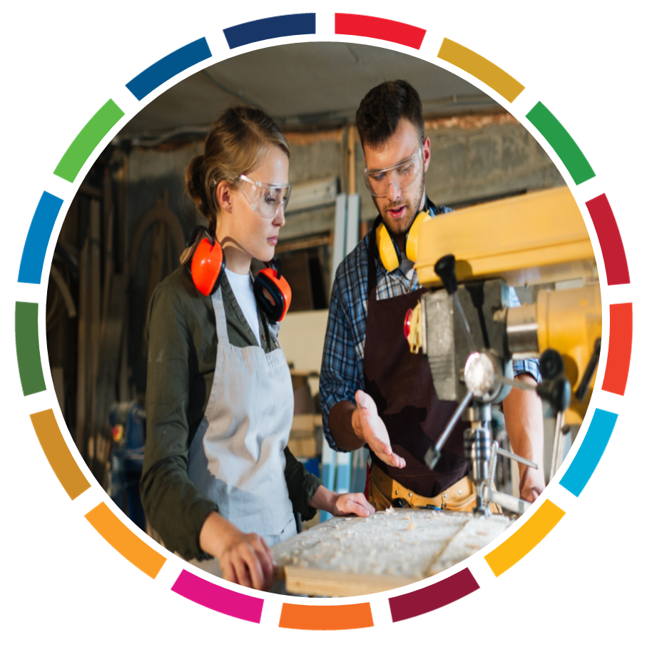 SHAPING THE FUTURE WITH VOLUNTEER MENTORS 