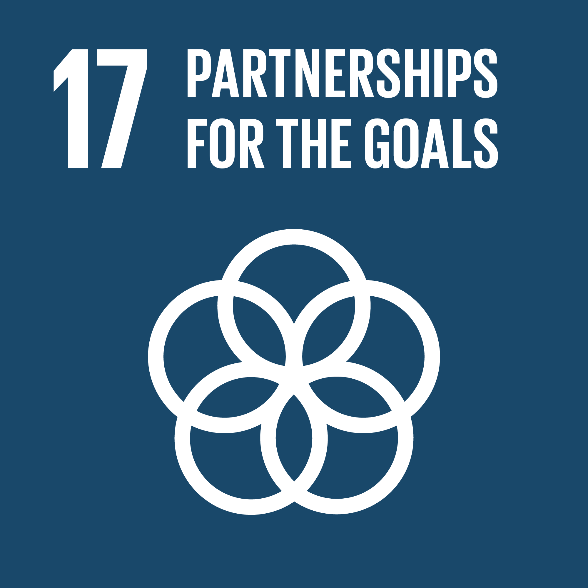 TheGlobalGoals_Icons_Color_Goal_17.png