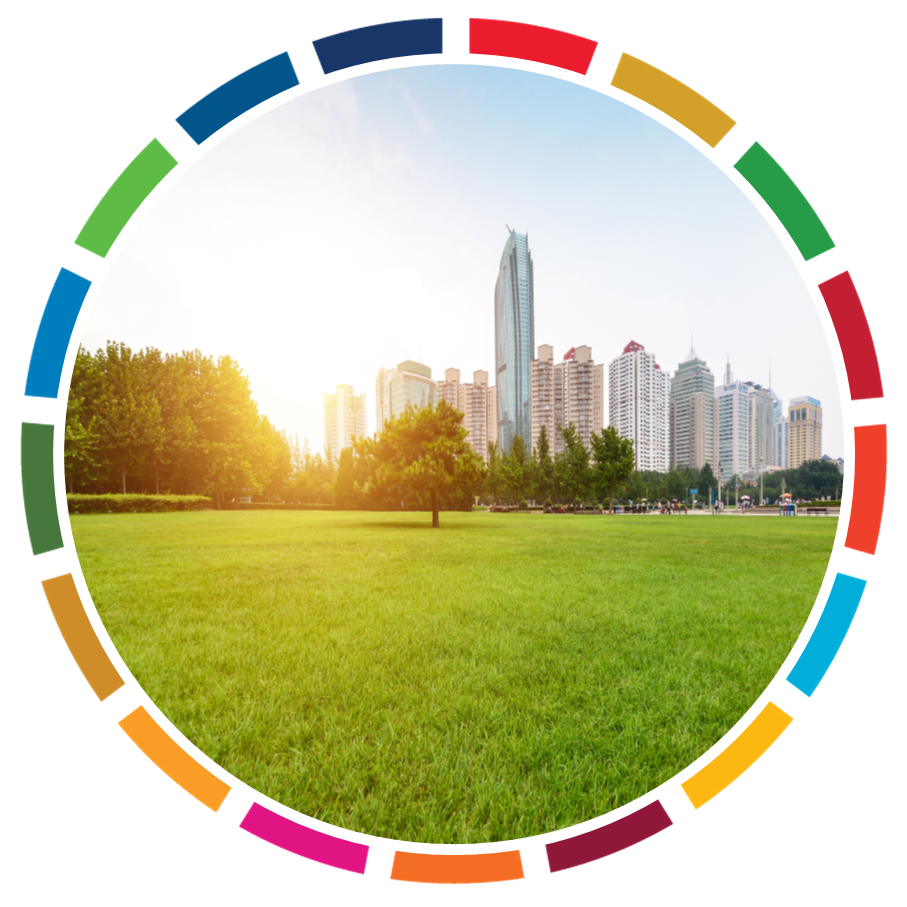 THE EU GREEN DEAL & TURKEY