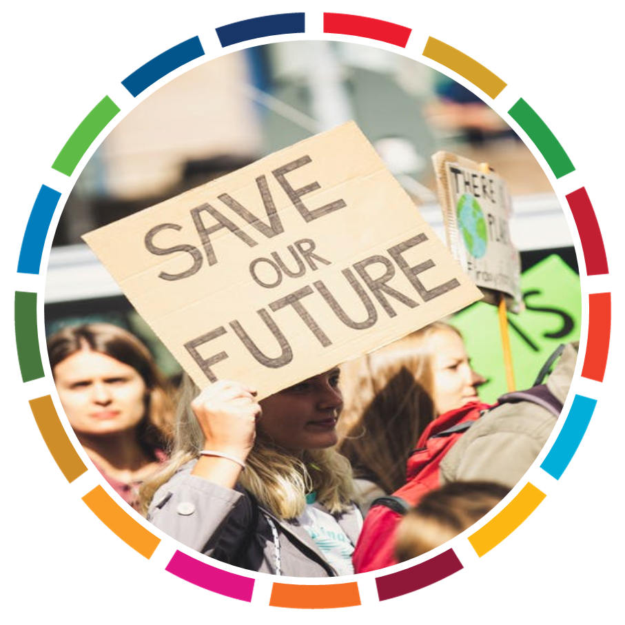 SETTING UP NATIONAL ALLIANCES FOR CLIMATE ACTION