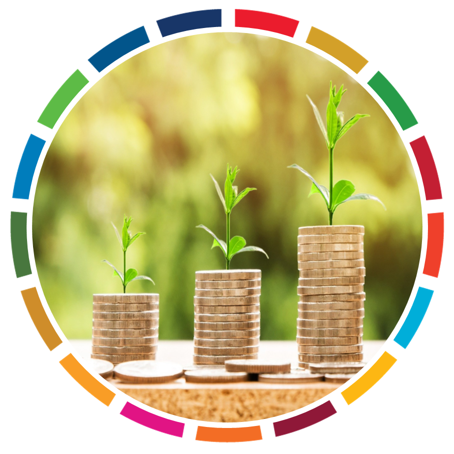 FINANCING FOR IMPACT IN MICRO, SMALL AND MEDIUM ENTERPRISES