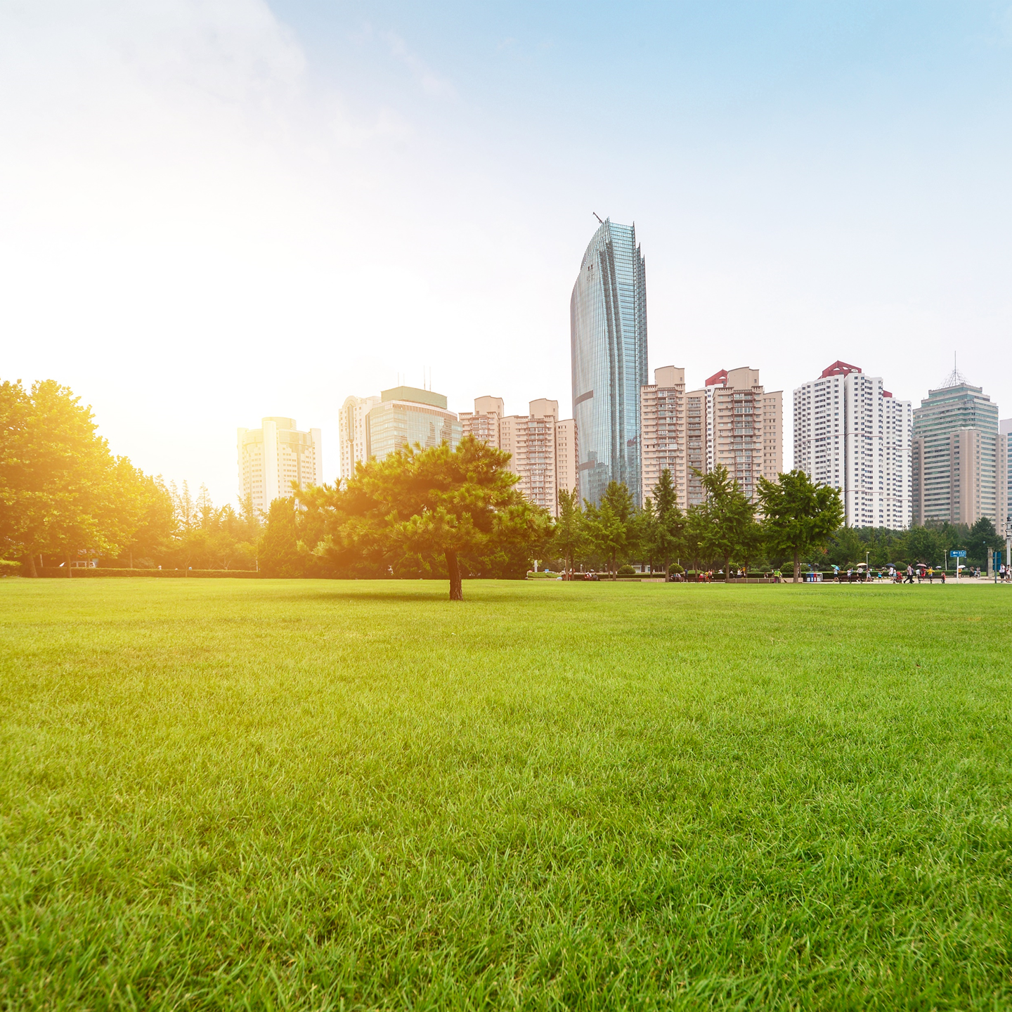 The European Green Deal & Turkey