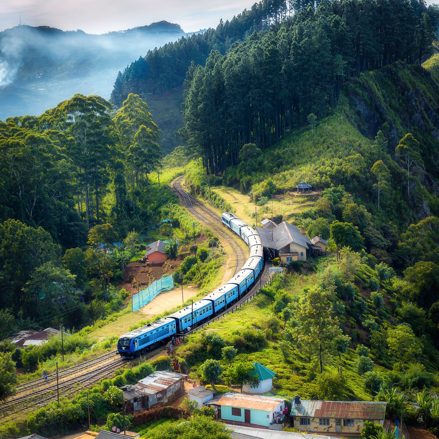 Access to Services in Rural Areas: Mobility and Digital Access