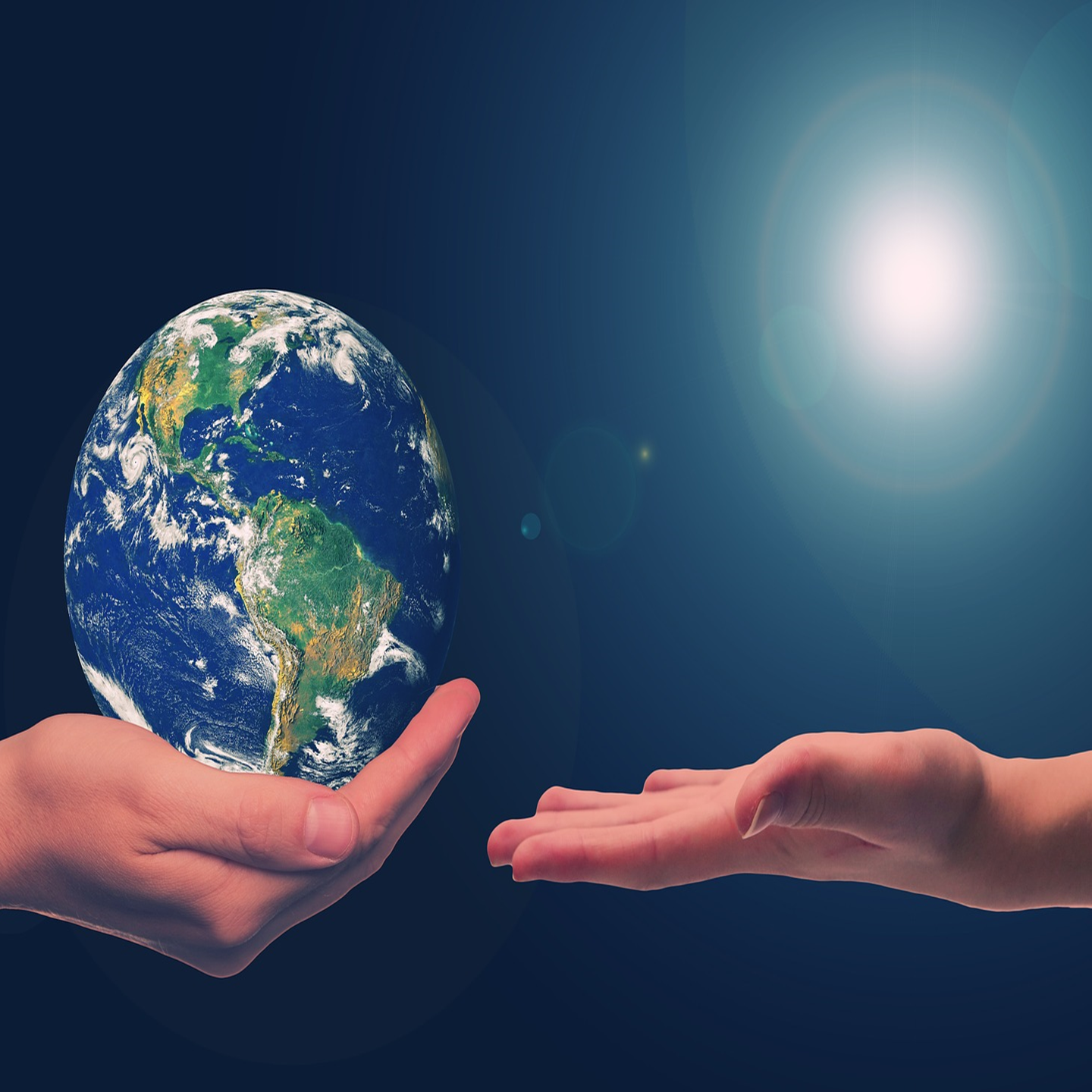 Sustainable Transformation Through Collaboration