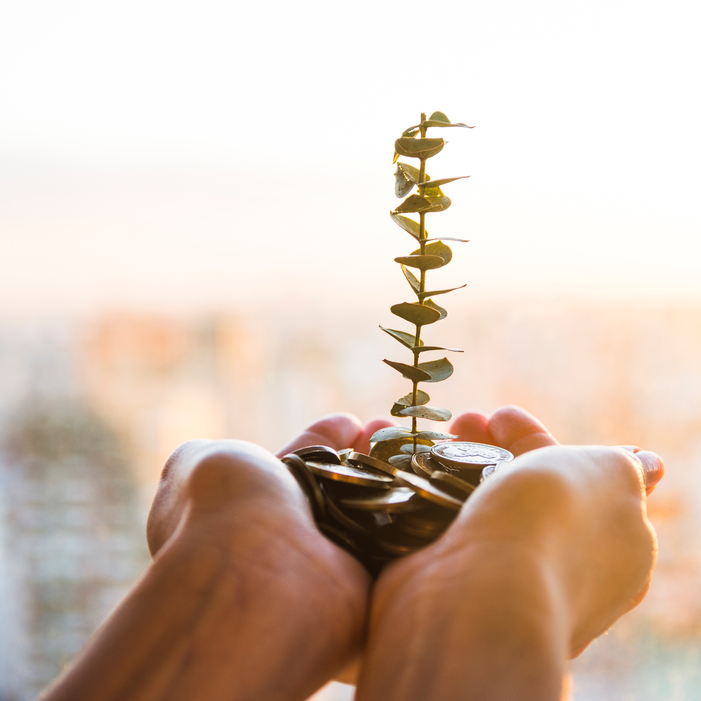 Sustainable Investment