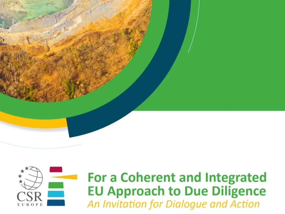 For a Coherent and Integrated EU Approach to Due Diligence