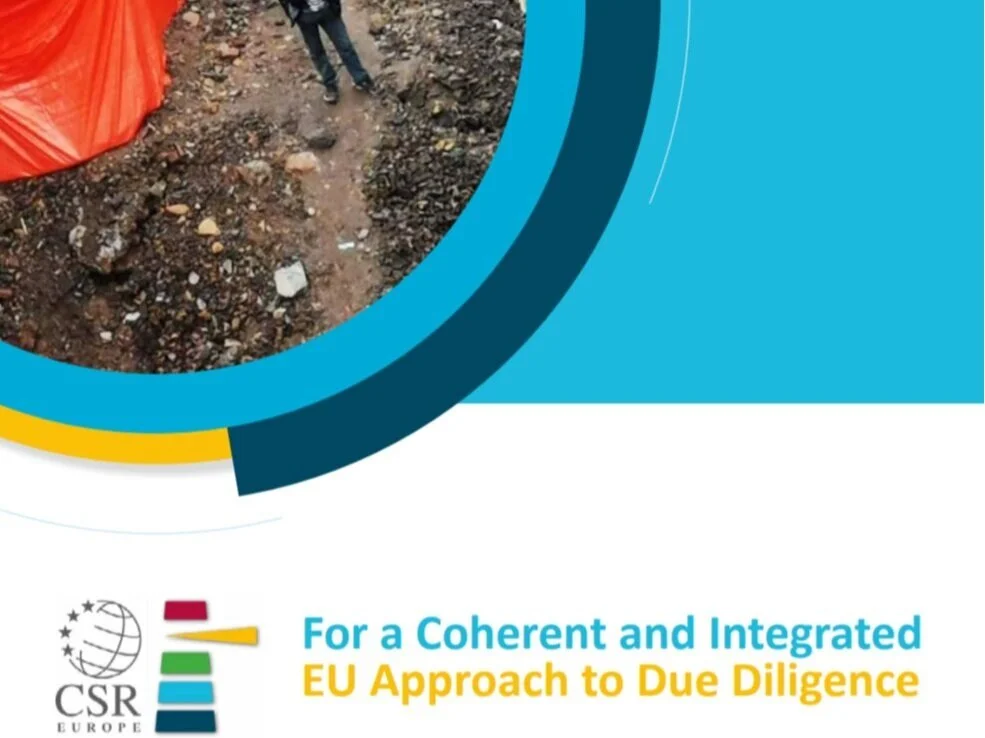 For a Coherent and Integrated EU Approach to Due Diigence