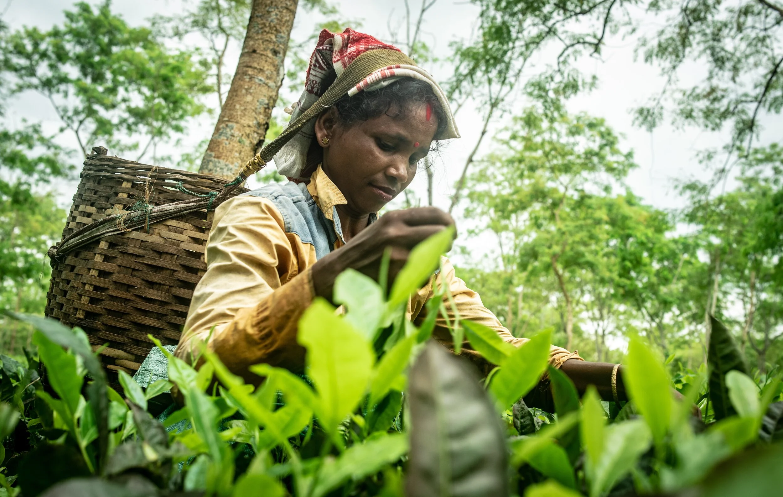 DG Grow and DG Justice Join Forces on the Sustainable Corporate Governance Initiative 