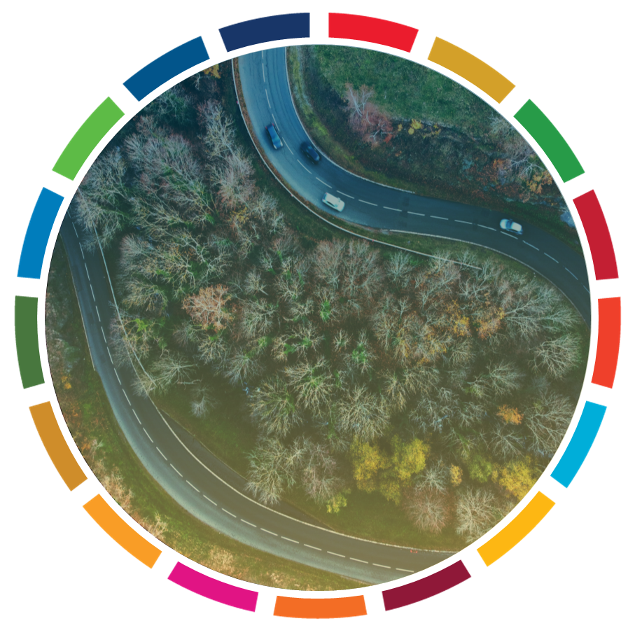  MULTI-STAKEHOLDER ACTIONS TO ADDRESS THE TYRE SECTOR SUSTAINABILITY CHALLENGES