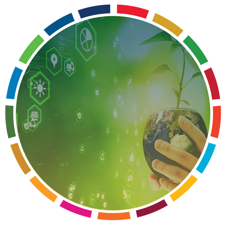 THE FUTURE OF CORPORATE SUSTAINABILITY REPORTING