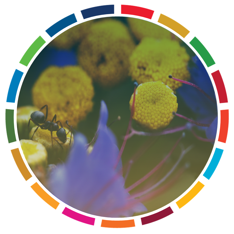 INTEGRATING BIODIVERSITY IN BUSINESS