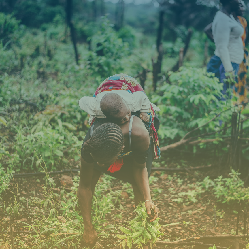 RESILIENT & INCLUSIVE SUPPLY CHAINS