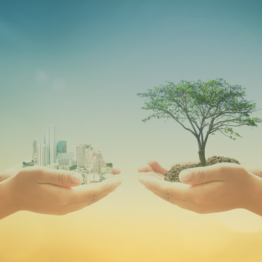 FINANCING THE FUTURE