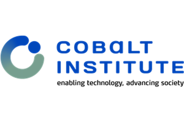 Resized Logo Cobalt Instituute.png