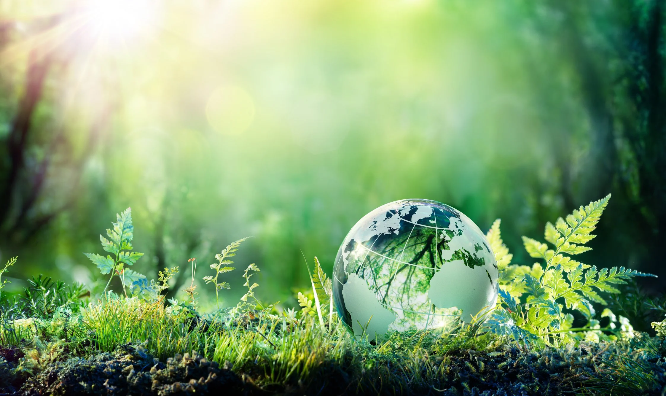 The European Investment Bank Adopts New Green &amp; Social Policy