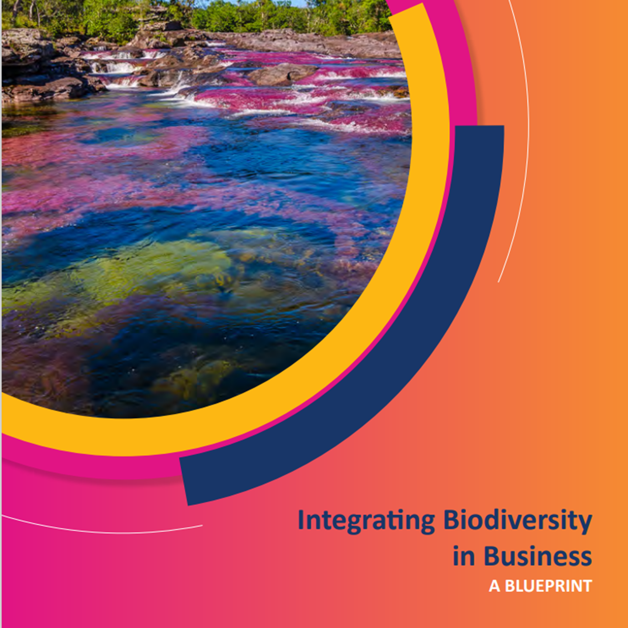 Integrating Biodiversity in Business