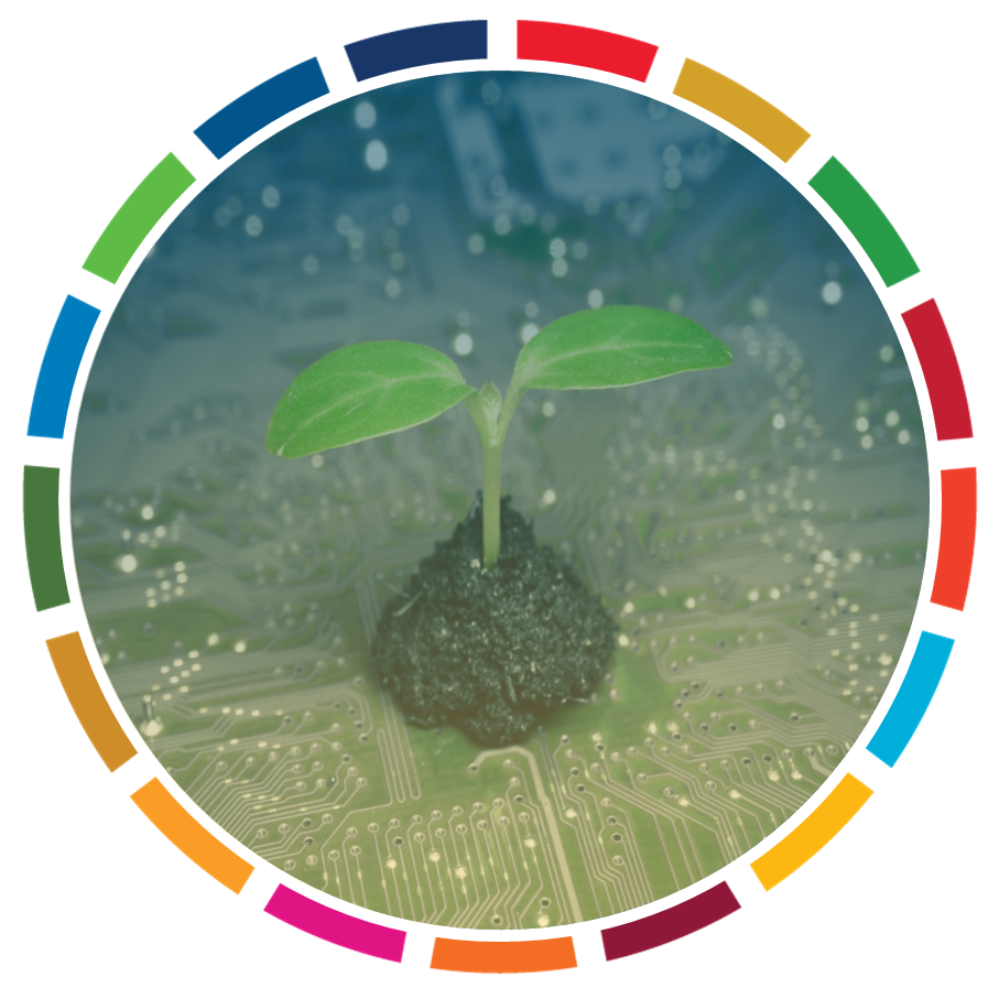 DIGITALIZATION & REPORTING: HOW TECH CAN BOOST SUSTAINABILITY DISCLOSURE