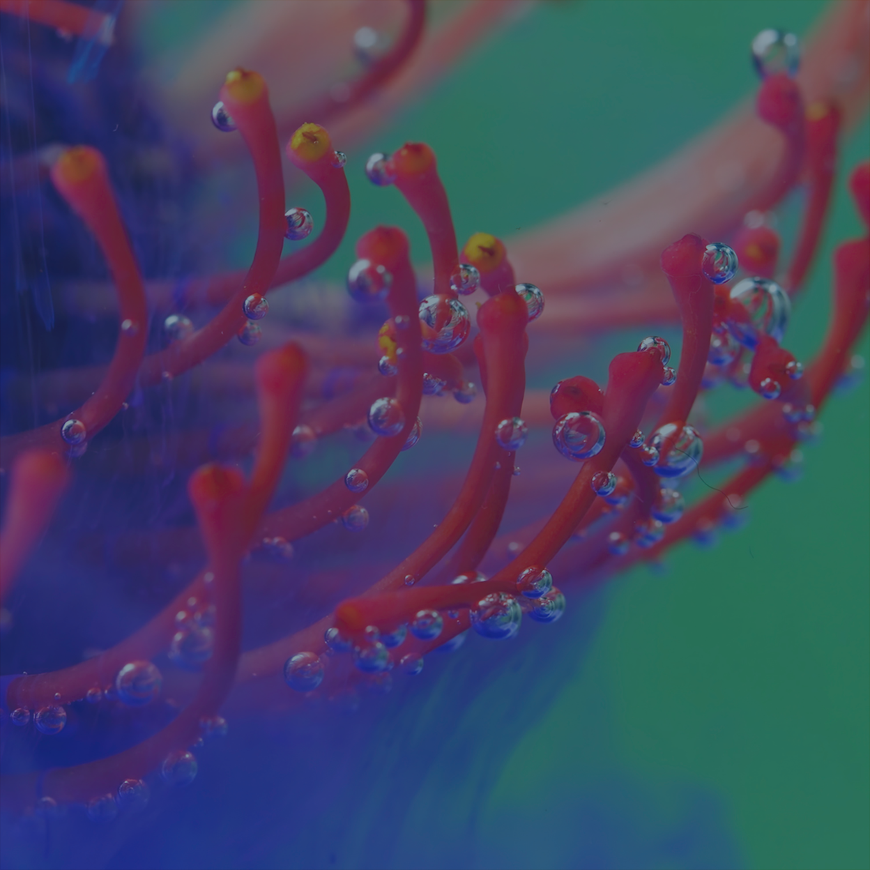   Biodiversity Management: Business Strategies in Action  