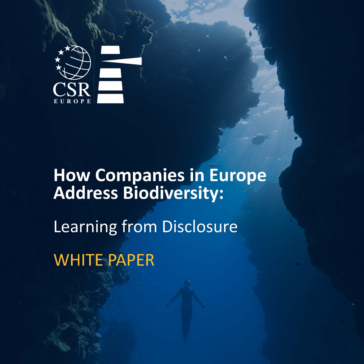 	White Paper Release: Unveiling the current practices of corporate biodiversity management
