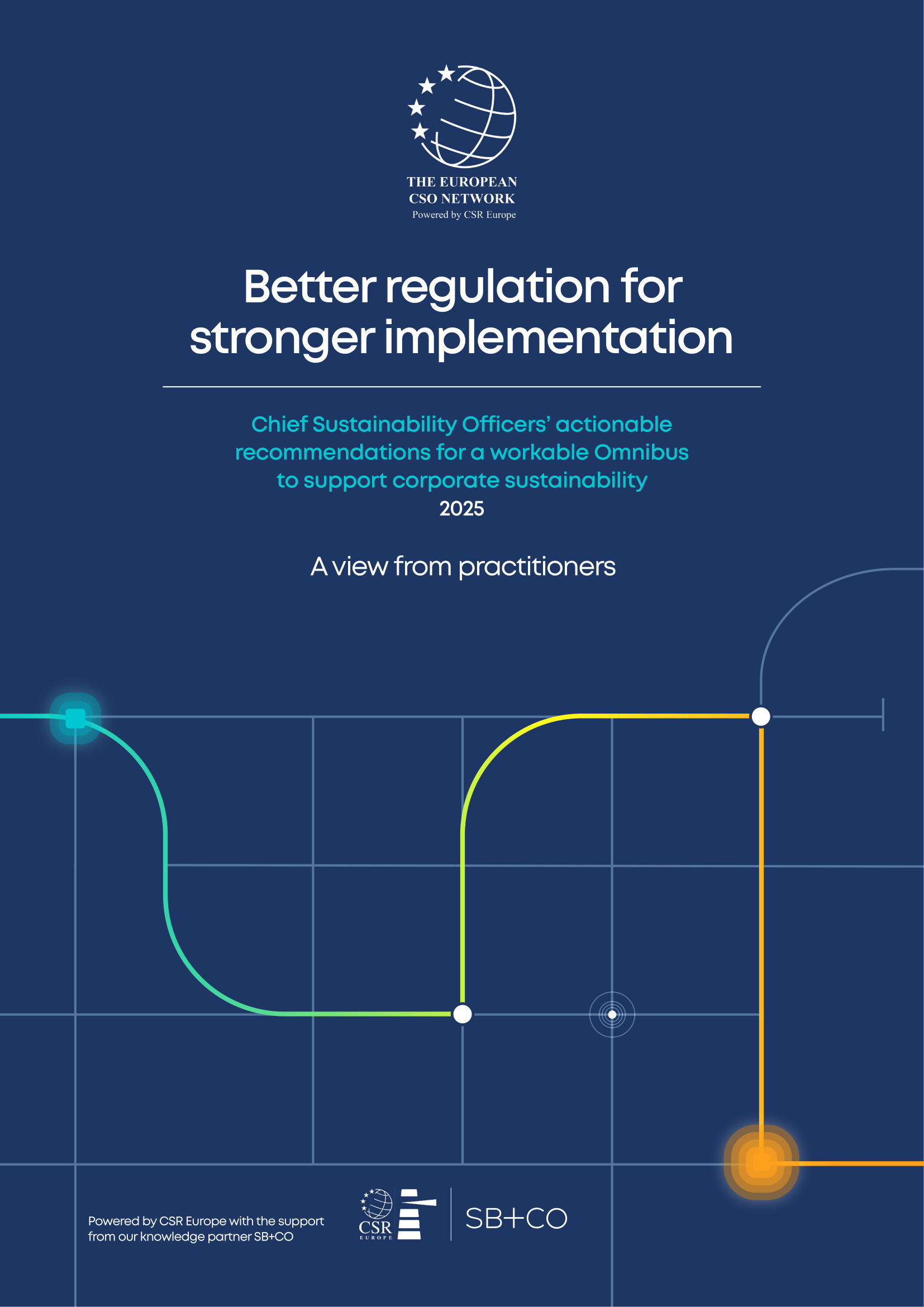Better regulation for stronger implementation: A view from practitioners