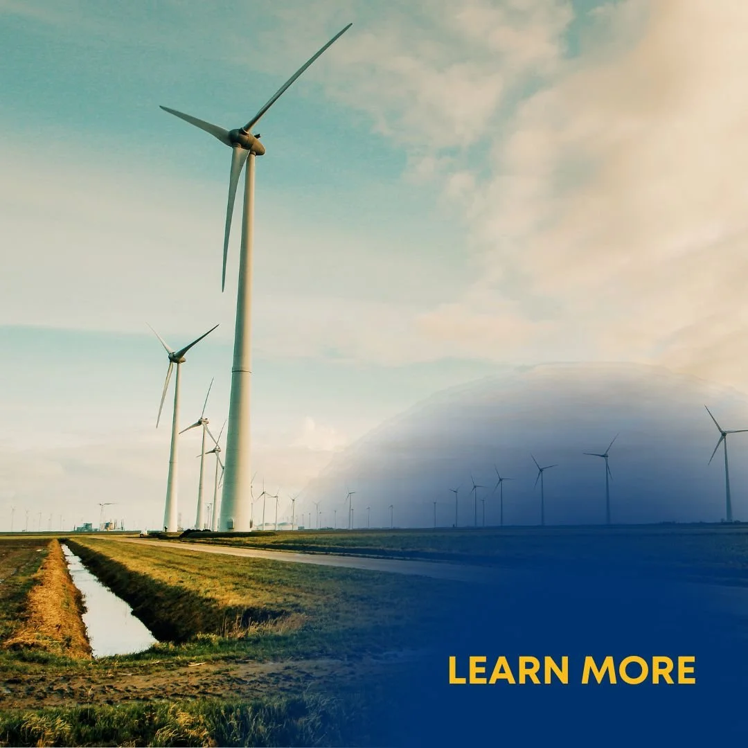 Corporate Sustainability Due Diligence Implementation