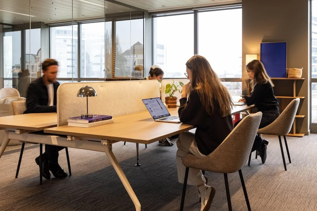 2026-02-09- Martin Pilette Prod - Respace de kleetlaan 2 preview- RS - 8.jpg