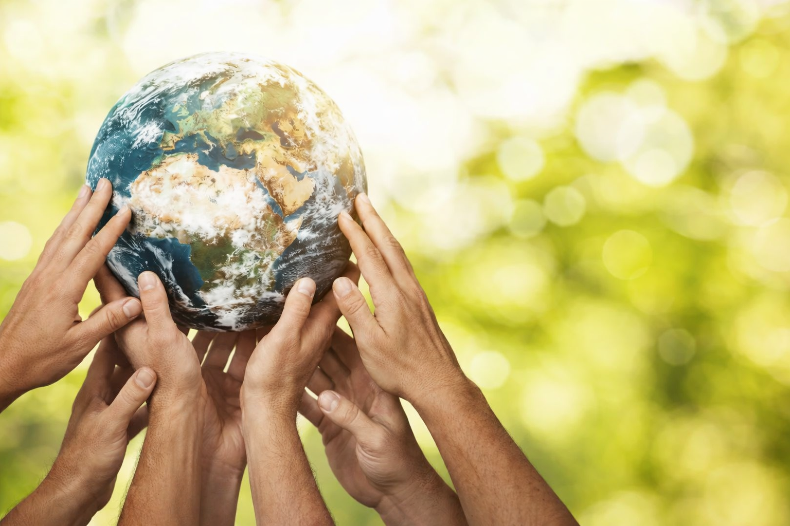 General Assembly 2026 - (Online)