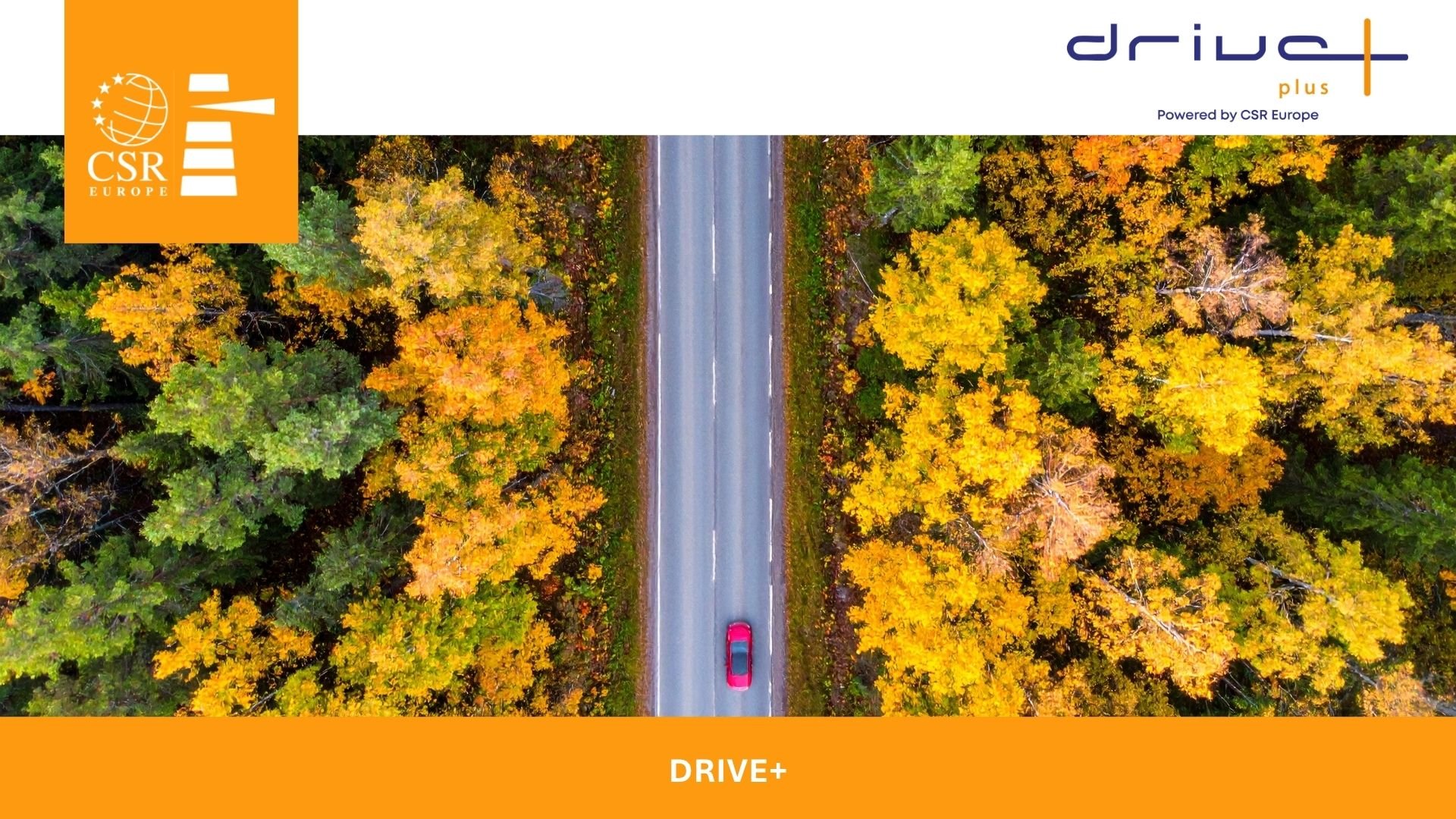  Drive+ USLA Training # 1 - Fundamentals of Sustainability Due Diligence and the DS SAQ